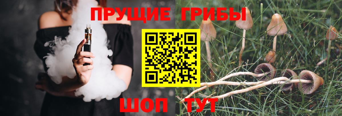 Псилоцибиновые грибы MAGIC MUSHROOMS Богородск